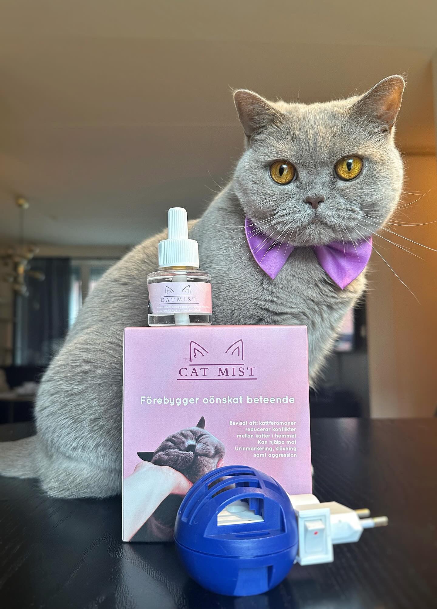 Calming pheromones refill