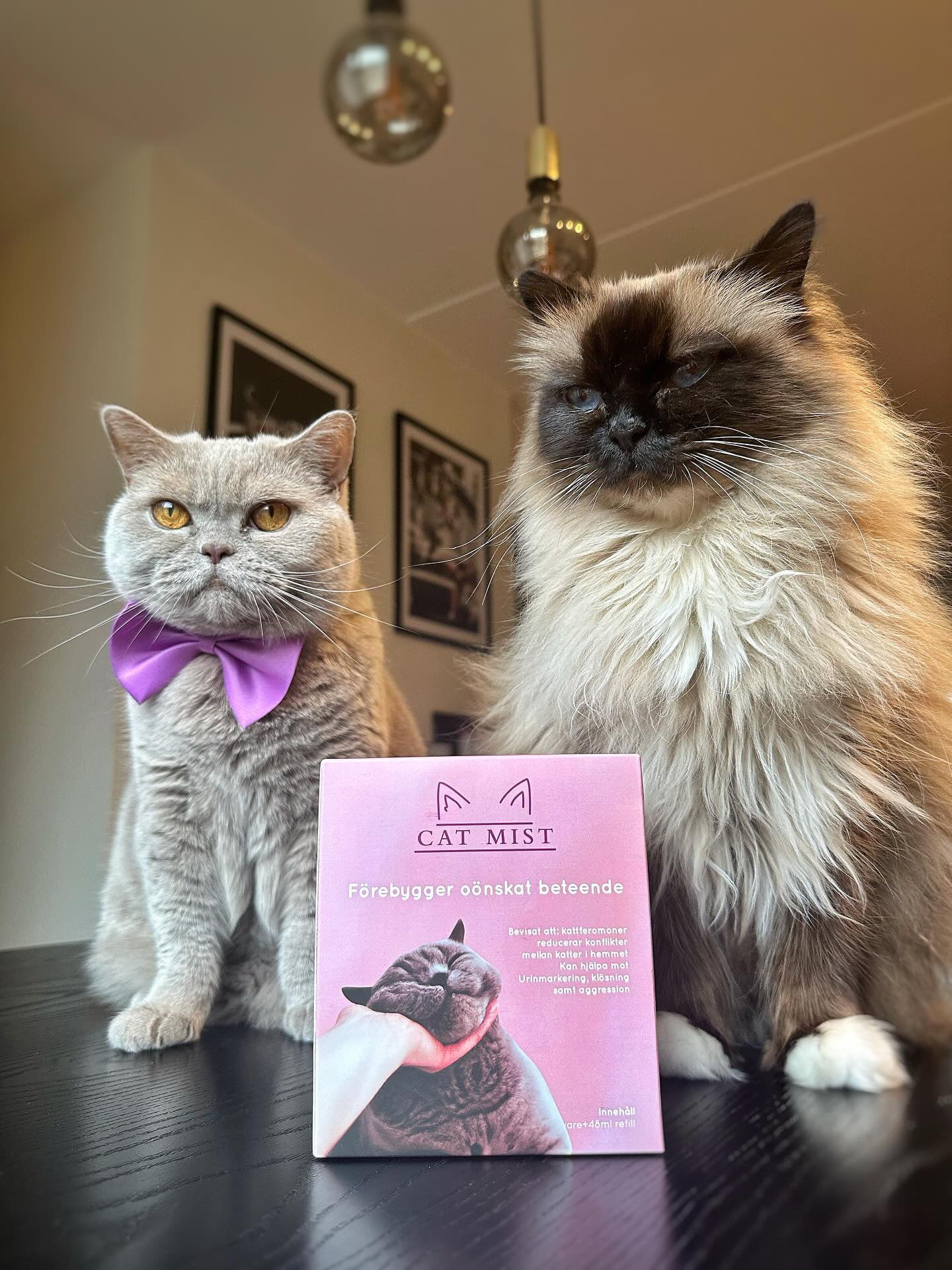 Calming pheromones diffuser