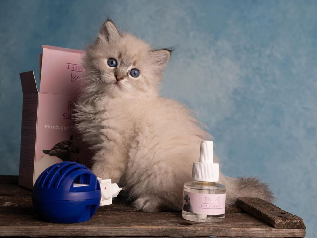 Calming pheromones refill