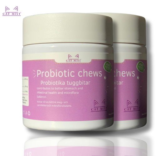 2 x Catmist probiotika 60st